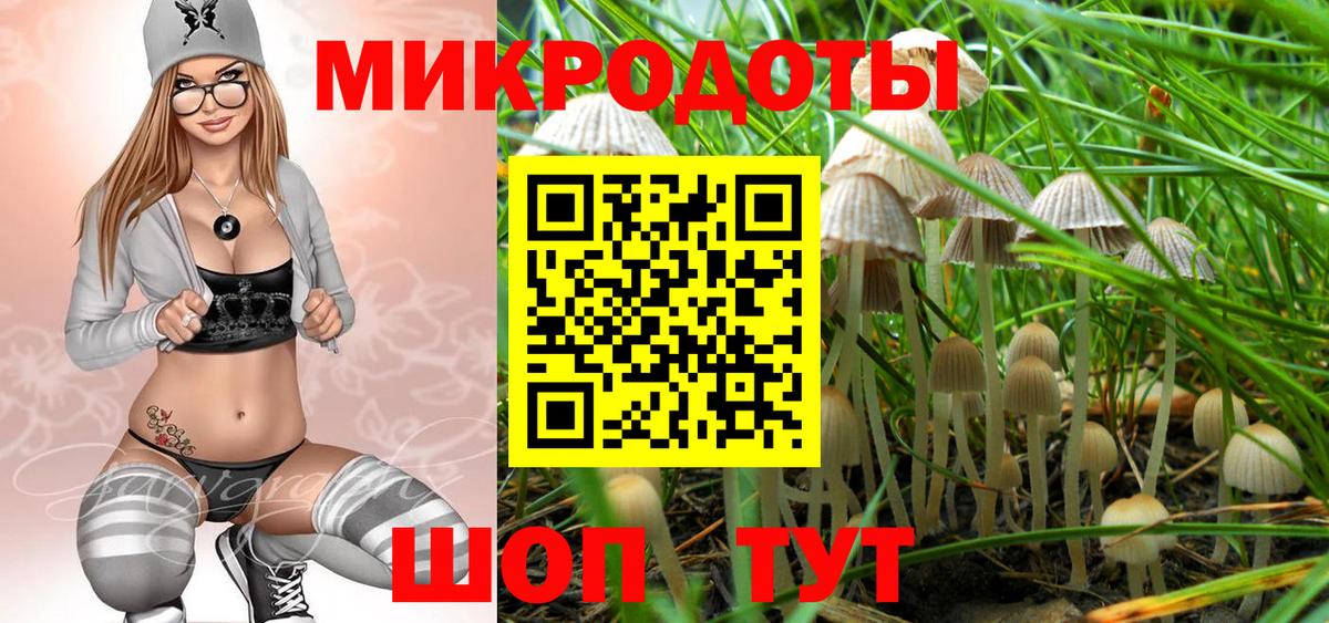 Сунжа  Псилоцибиновые грибы Magic Shrooms  Галлюциногенные грибы Magic Shrooms  Вход с VPN 