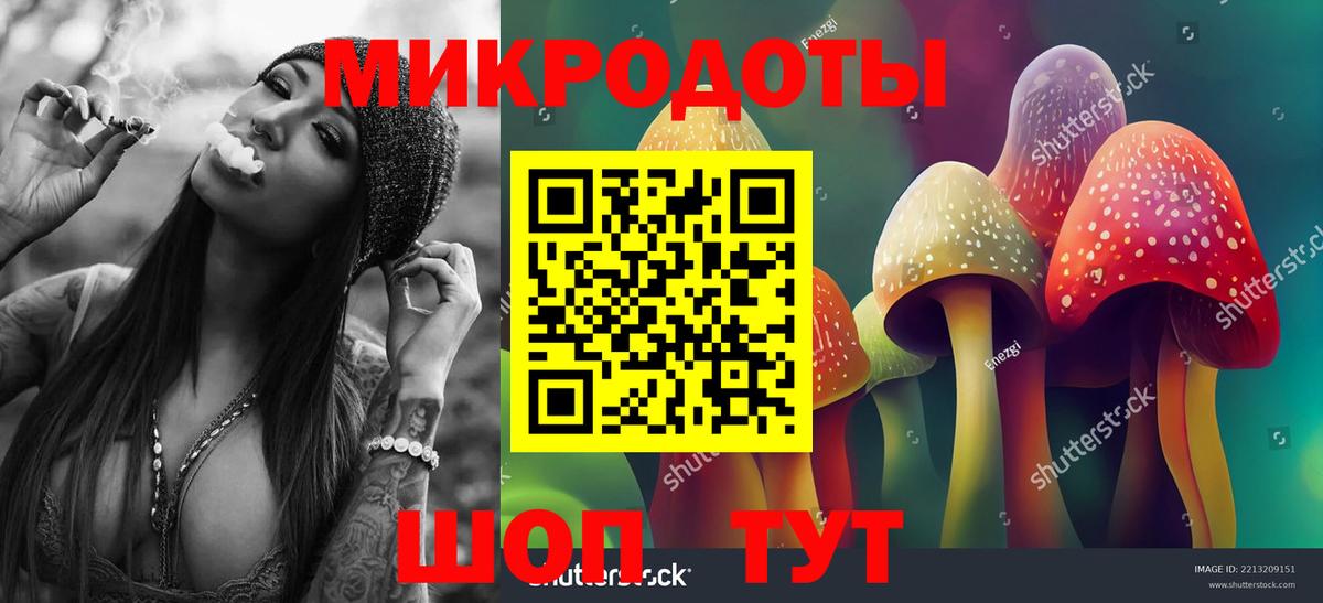 Галлюциногенные грибы мухоморы Сунжа